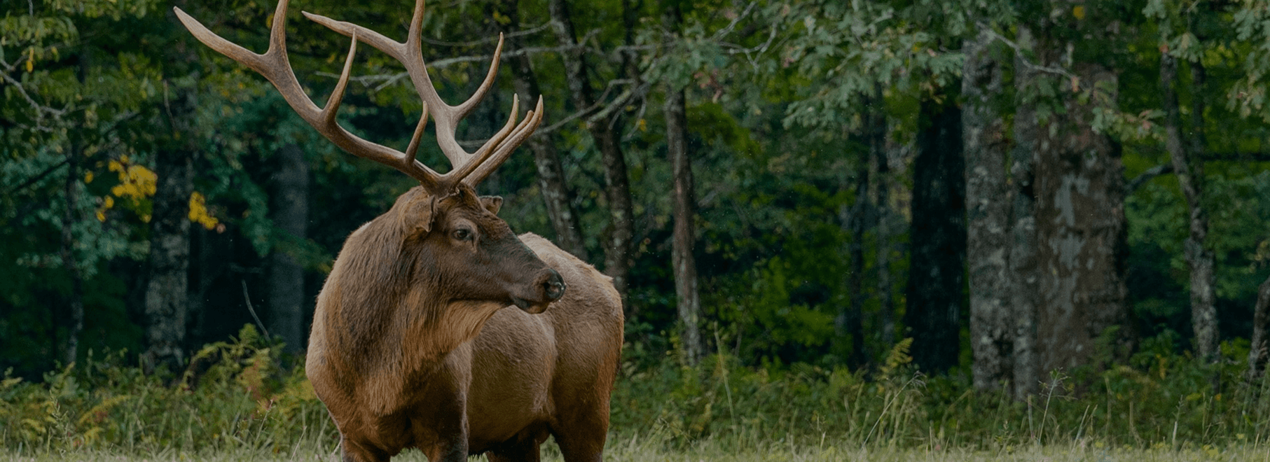 New Wildlife Heritage Areas Help Travelers Find Responsible Animal Experiences